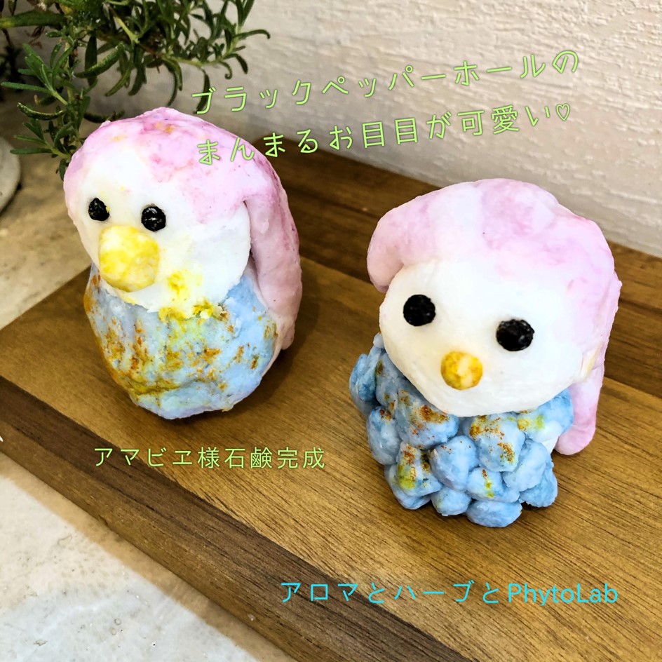 【ワークショップ再開】～アマビエ様石鹸作り～参加者募集中！！