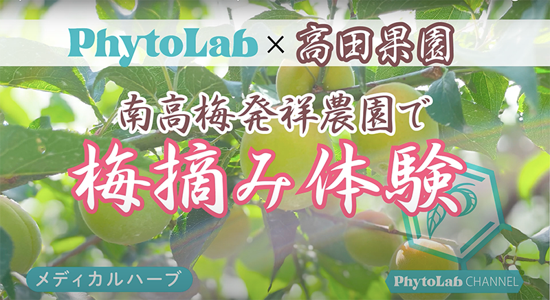 臨時休業のお知らせ（そしてその理由とは⁉）