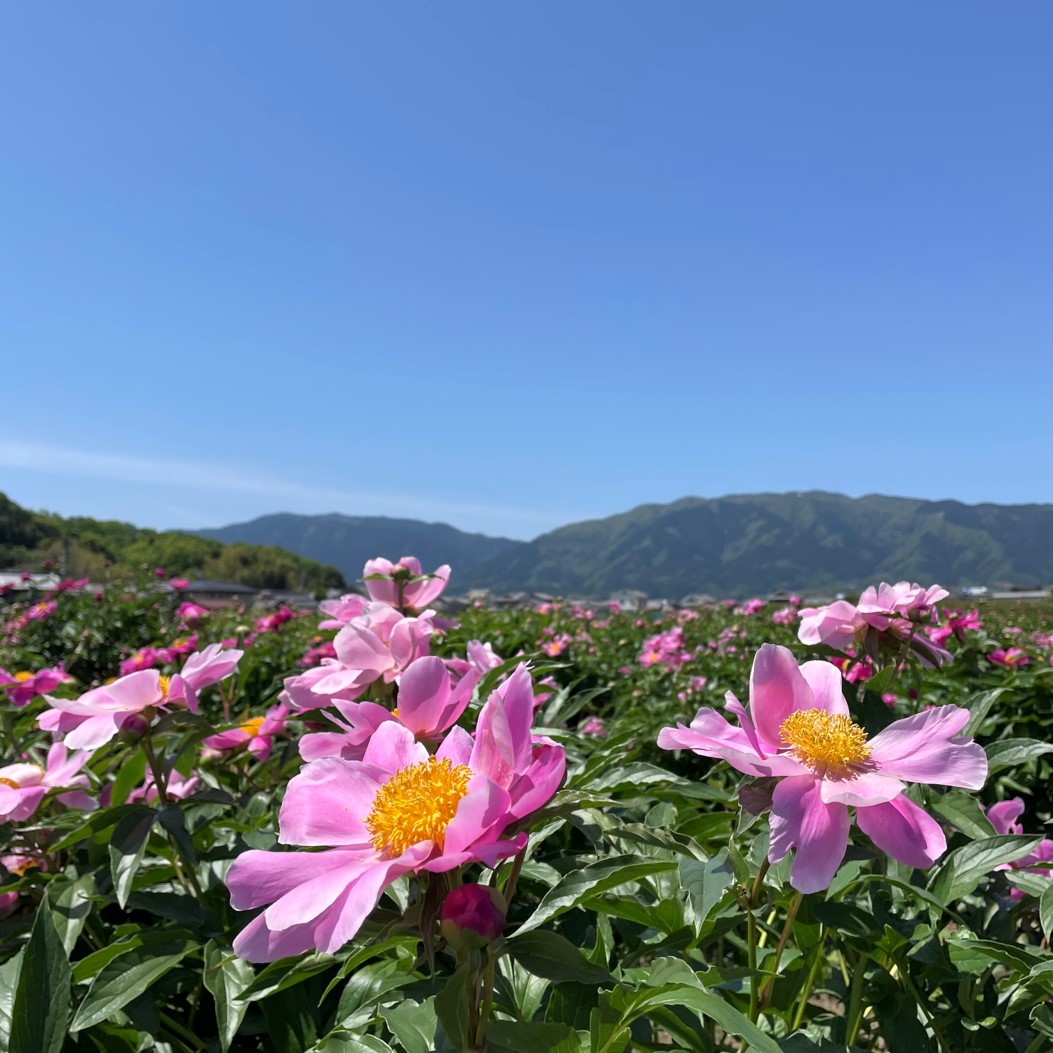 臨時休業のお知らせ