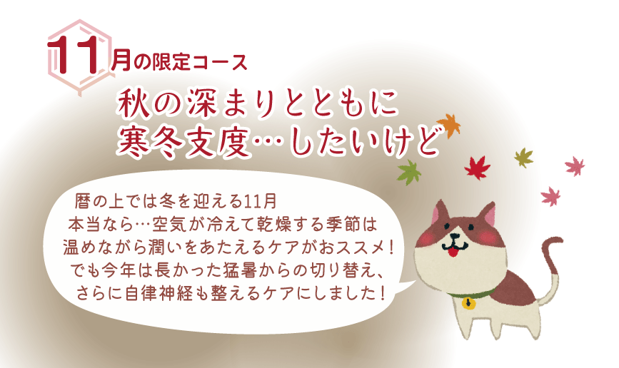 【11月限定コース】秋の深まりとともに冬支度…したいけど